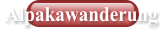 Alpakawanderung