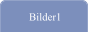 Bilder1